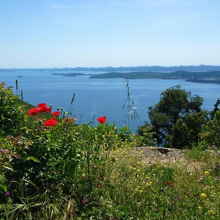 Lägenhet Crystal Sea Igor Kali