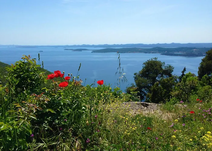 Lägenhet Crystal Sea Igor Kali